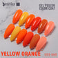 Kit of 6 VSP Beautilux collection B 001 to 120